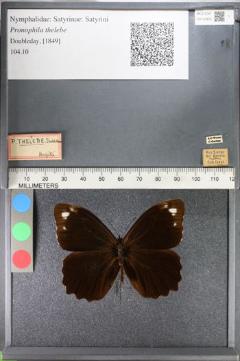 Media type: image;   Entomology 103405